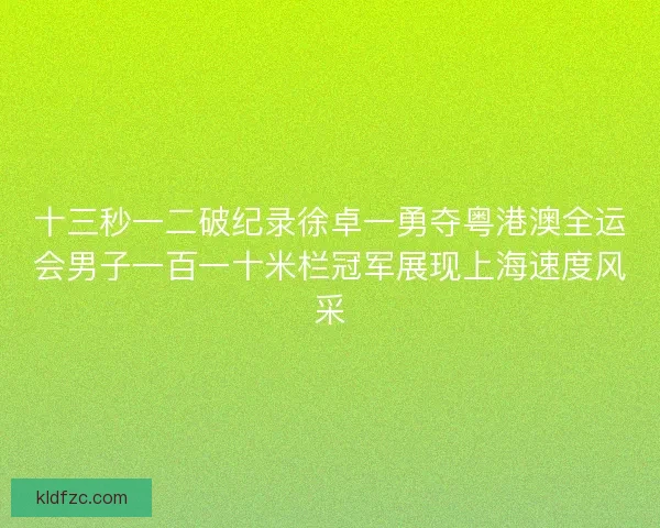 十三秒一二破纪录徐卓一勇夺粤港澳全运会男子一百一十米栏冠军展现上海速度风采